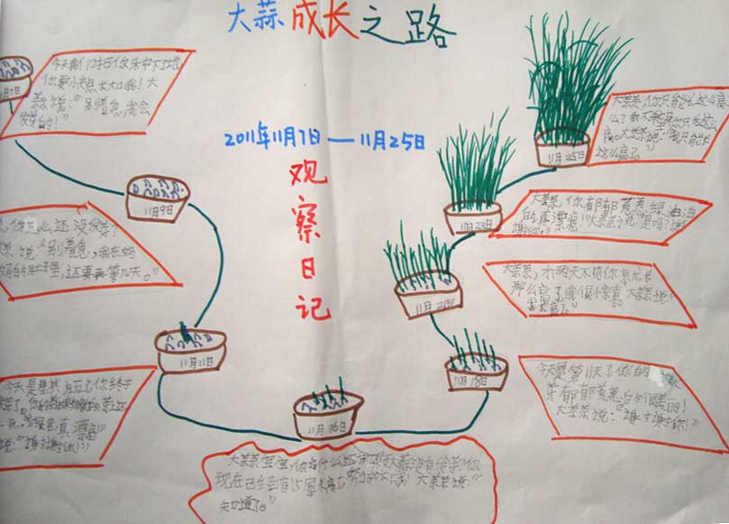 小学生大蒜的手抄报100字